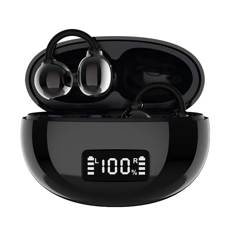 Black Clip-On Earbuds with Silver-Colored Face Panels