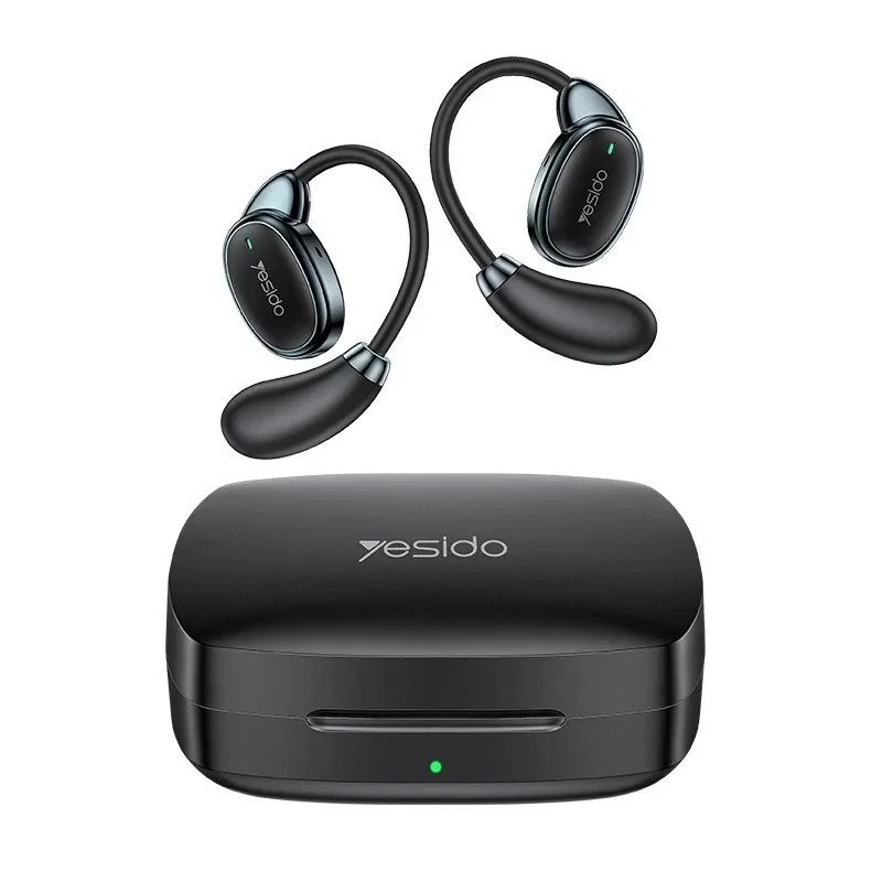 Black Ear Hook Earbuds
