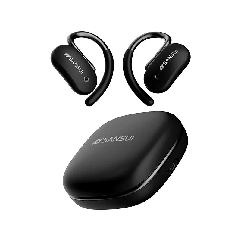 Black Ear Hook Earbuds, Oval Case