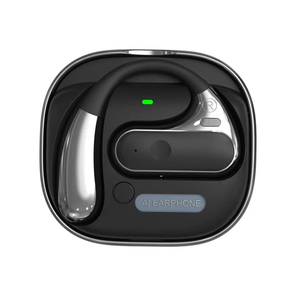Single Ear-Hook Earpiece with Dock